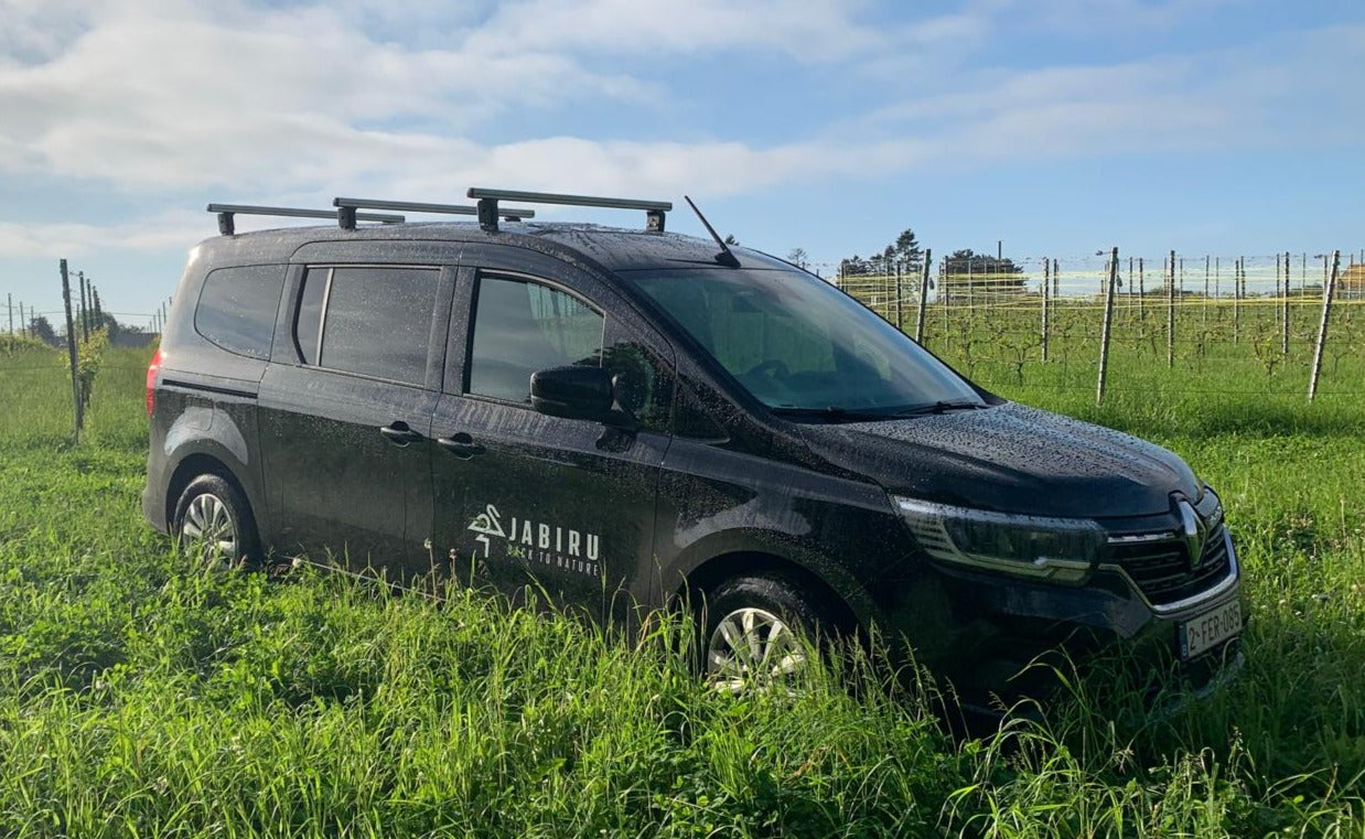 Renault Grand Kangoo met 7 zitplaatsen